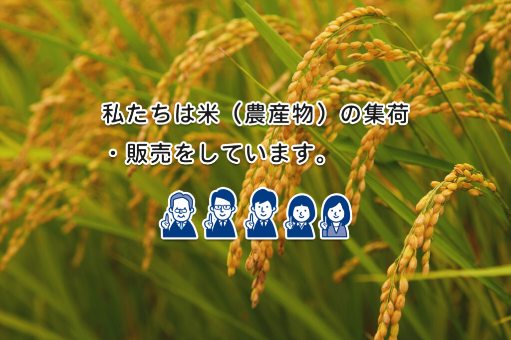青森県 カネマ成田商店 畳材料 農産物